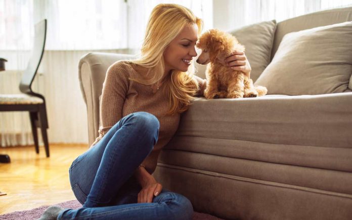 Get-Paid-$100-or-More-to-Play-with-Puppies